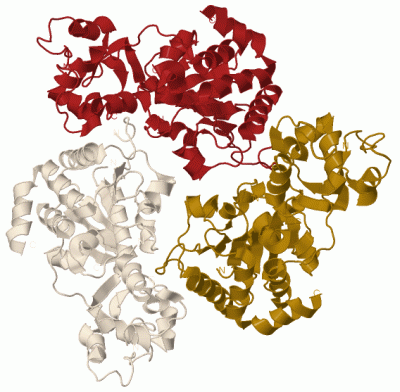 Image Biol.Unit 1 - manually