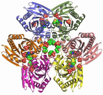 Image Asym./Biol. Unit - manually