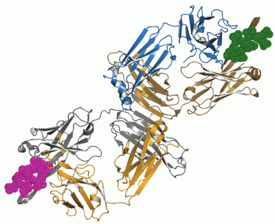 Image Asym./Biol. Unit - manually