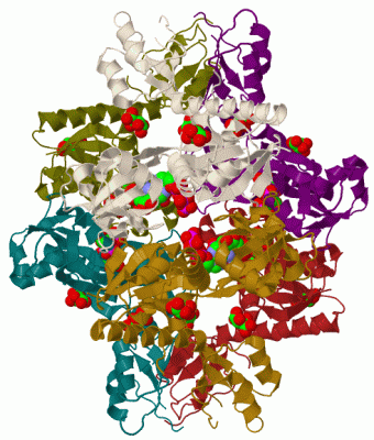Image Biol.Unit 1 - manually