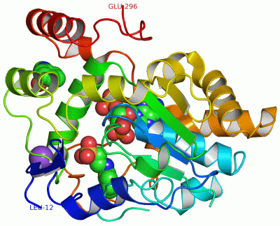 Image Asym./Biol. Unit - manually