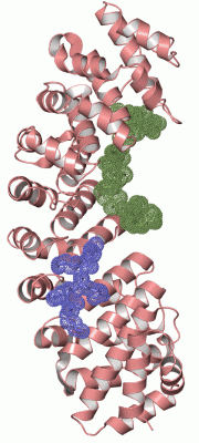 Image Asym./Biol. Unit - manually