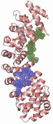 Image Asym./Biol. Unit - manually