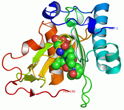 Image Asym./Biol. Unit - manually