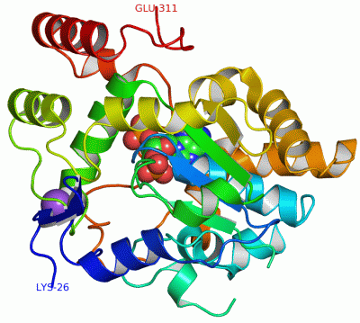 Image Asym./Biol. Unit - manually