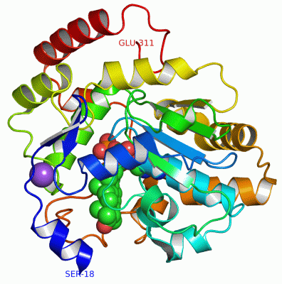 Image Asym./Biol. Unit - manually