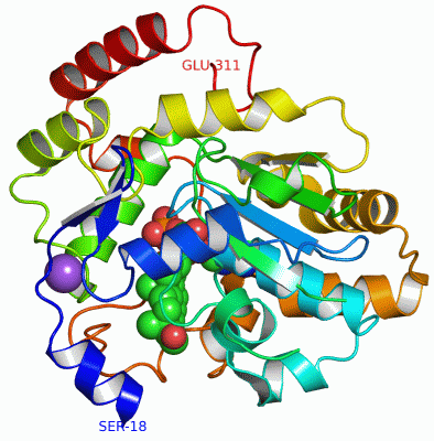 Image Asym./Biol. Unit - manually