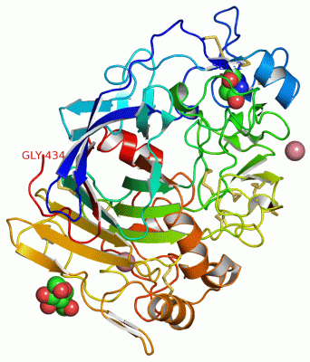 Image Asym./Biol. Unit - manually