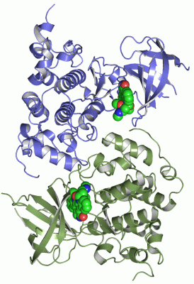 Image Asym./Biol. Unit - manually