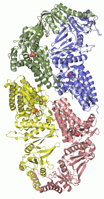 Image Asym.Unit - manually