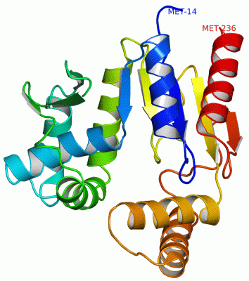 Image NMR Structure - manually