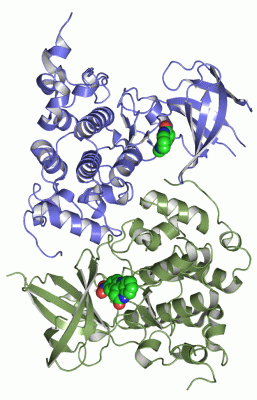 Image Asym./Biol. Unit - manually