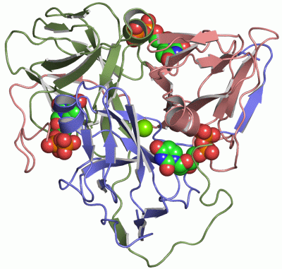 Image Asym./Biol. Unit - manually