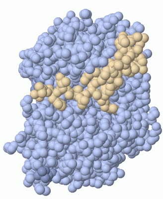 Image Asym./Biol. Unit - manually