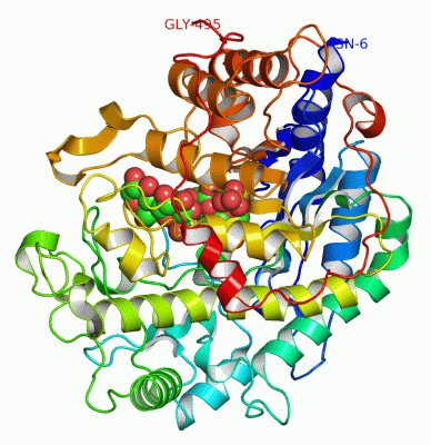 Image Asym./Biol. Unit - manually