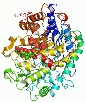 Image Asym./Biol. Unit - manually