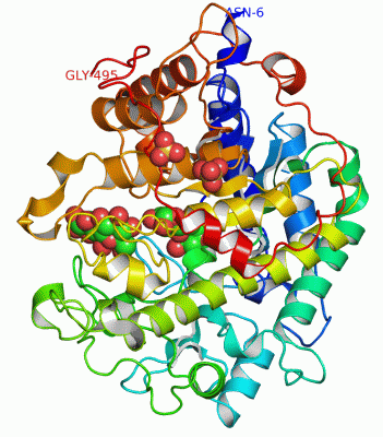 Image Asym./Biol. Unit - manually