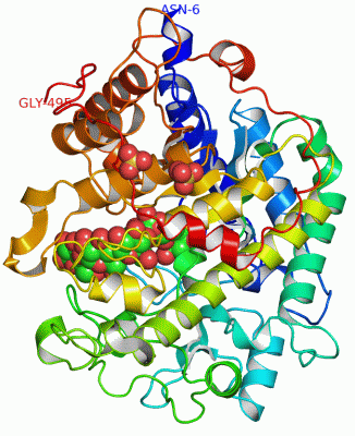 Image Asym./Biol. Unit - manually