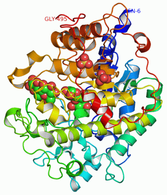 Image Asym./Biol. Unit - manually