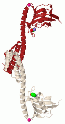 Image Biol.Unit 1 - manually