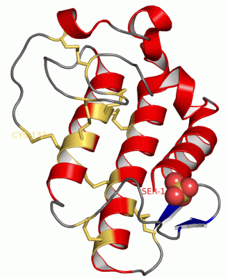 Image Asym./Biol. Unit - manually