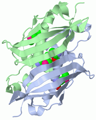 Image Biol.Unit 1 - manually