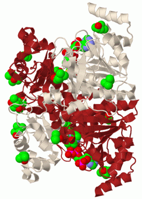 Image Biol.Unit 1 - manually