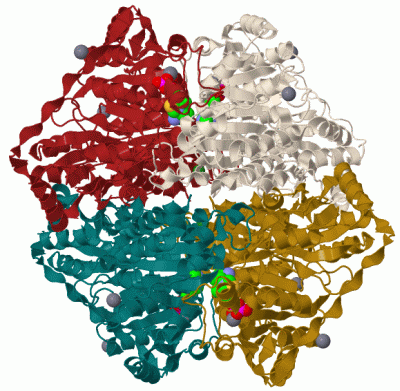 Image Biol.Unit 1 - manually