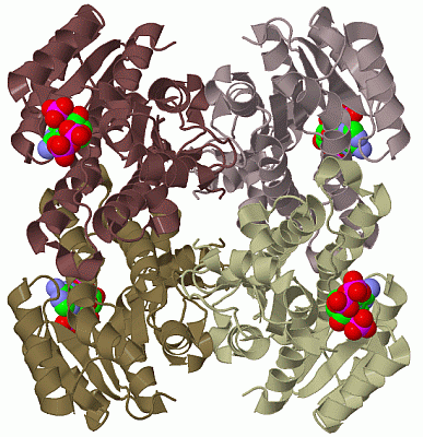 Image Biol.Unit 1 - manually