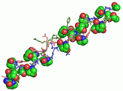 Image Asym./Biol. Unit - manually