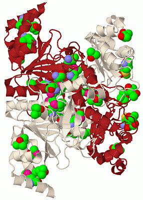 Image Biol.Unit 1 - manually