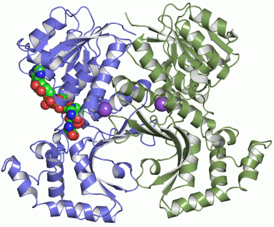 Image Asym./Biol. Unit - manually