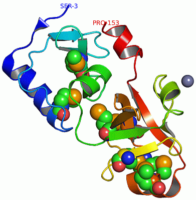 Image Asym.Unit - manually
