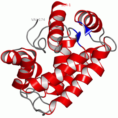 Image NMR Structure - manually