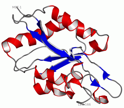 Image NMR Structure - manually