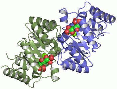 Image Asym./Biol. Unit - manually