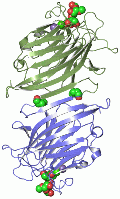 Image Asym./Biol. Unit - manually