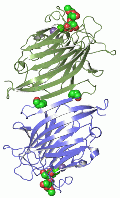 Image Asym./Biol. Unit - manually