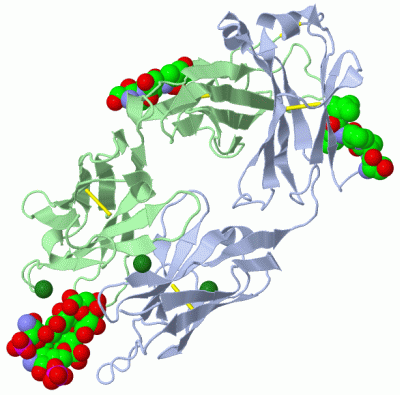 Image Biol.Unit 1 - manually