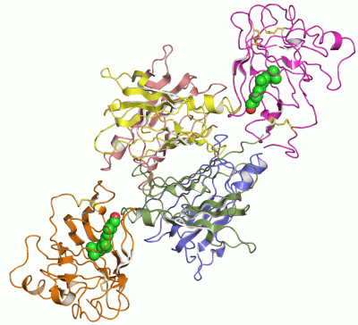 Image Asym./Biol. Unit - manually