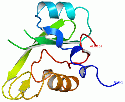 Image Asym./Biol. Unit - manually