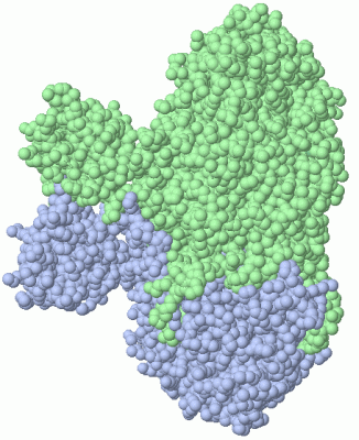 Image Asym./Biol. Unit - manually