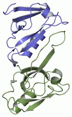 Image Asym./Biol. Unit - manually