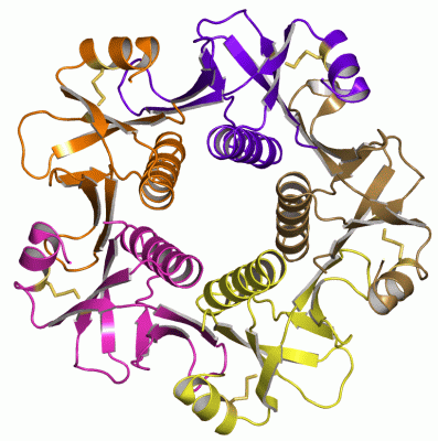 Image Asym./Biol. Unit - manually