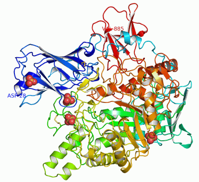 Image Asym./Biol. Unit - manually