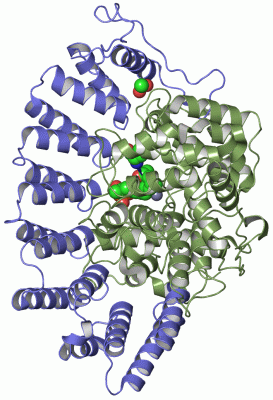 Image Asym./Biol. Unit - manually