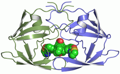 Image Asym./Biol. Unit - manually