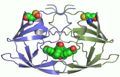 Image Asym./Biol. Unit - manually