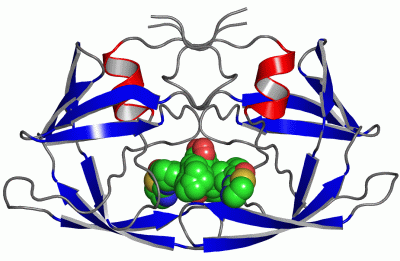 Image Asym./Biol. Unit - manually