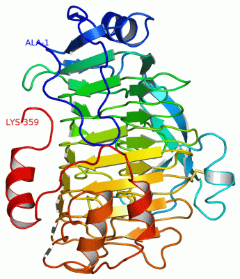 Image Asym./Biol. Unit - manually